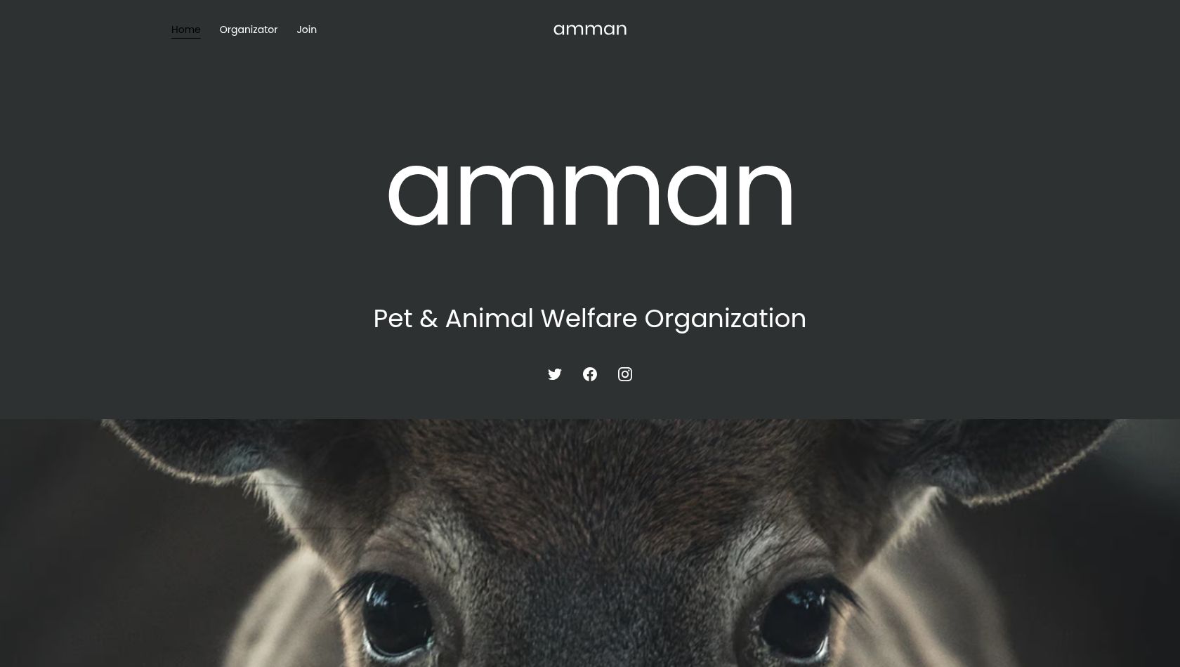 Amman